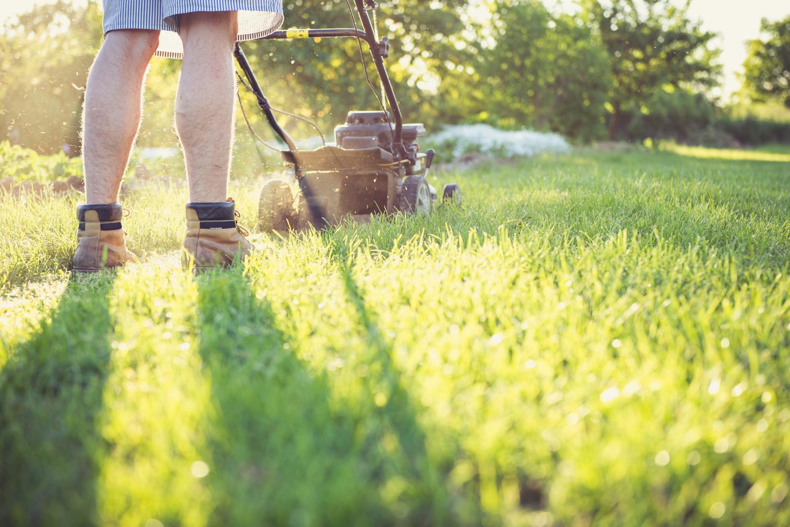 Lawn mowing service on a freshly cut Florida lawn